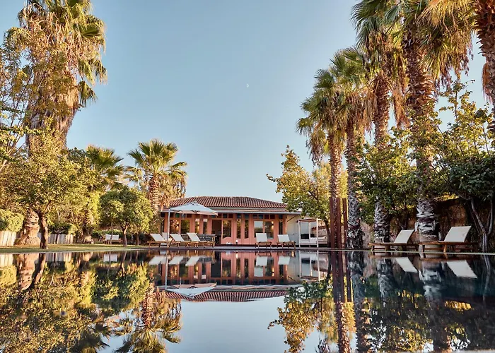 Jungle Eva Bodrum